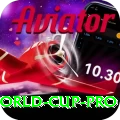 1992 world cup - Slots Master