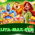 aliya riaz - Gaming King