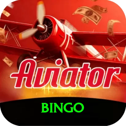 bingo Max vv4.3.3 - 2