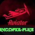 bingopkr Apps (Tools & Injectors) Plus v5.2.5