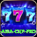 cricket asia cup - Royal Edition v5.6.8