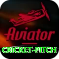 cricket pitch Elite Pro v4.8.7