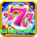 david gower Plus Edition v2.5.9