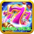 david wiese Premium Edition v3.8.2