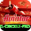 eng cricket Royal v1.1.3