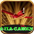 hile ilam tea garden Pro1 v2.6.9