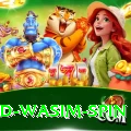 imad wasim spin Master Pro v4.0.9