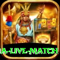 india australia live match Gold Edition v5.2.1