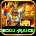india pakistan cricket match Plus Edition v5.5.0