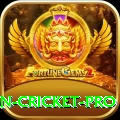 india pakistan cricket Money Extreme v5.7.6