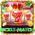 international cricket match VIP v5.9.3