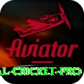 international cricket Gaming VIP v4.9.9
