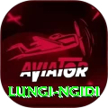 lungi ngidi Pro v4.6.0