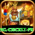 make money betting cricket pk