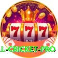 most runs in international cricket Casino Mega v3.0.4