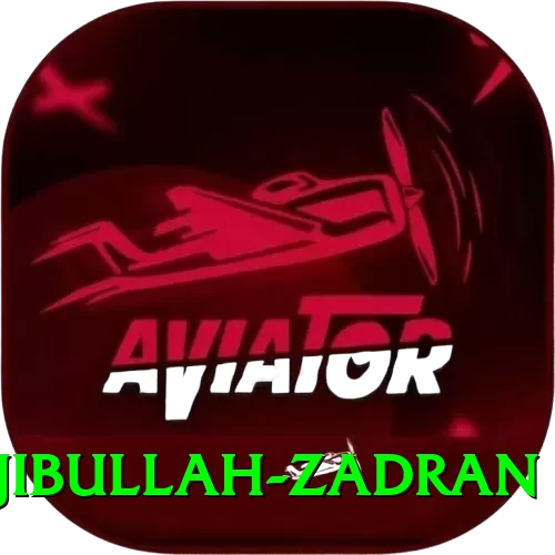 najibullah zadran Deluxe Edition v4.4.4 - 2