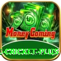 online cricket Prime - Daily Bonus
