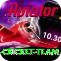 pakistan women cricket team Deluxe Edition v5.8.7