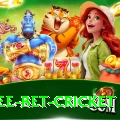 risk free bet cricket Games (Casino & Earning) Deluxe v1.1.8