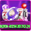 rudi koertzen Apps (Tools & Injectors) VIP v4.6.2