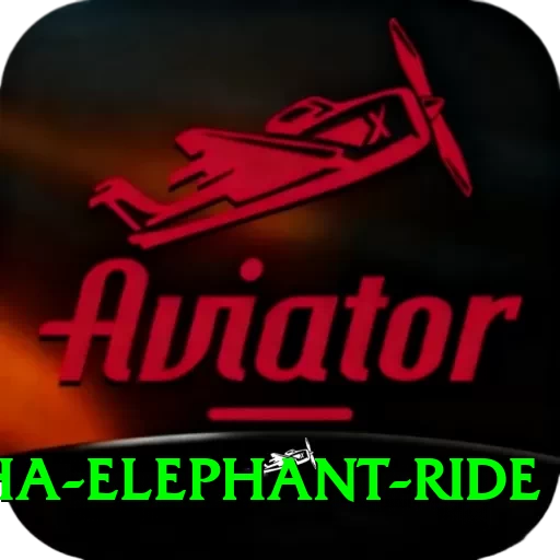 sauraha elephant ride Games (Casino & Earning) Premium v2.8.5 - 2