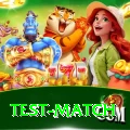test match Plus Edition v2.8.6