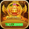tiger888 Gold vv5.2.8