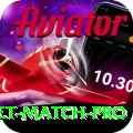 to day cricket match - Premium v3.0.6