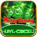 watch live cricket Plus v5.2.6