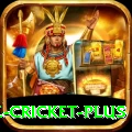 watch live cricket Live Casino Champion