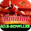 wicket hauls bowlers Premium Edition v1.9.4