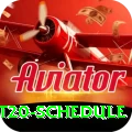 world t20 schedule Pro v2.3.1
