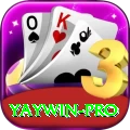 yaywin Official v2.8.9